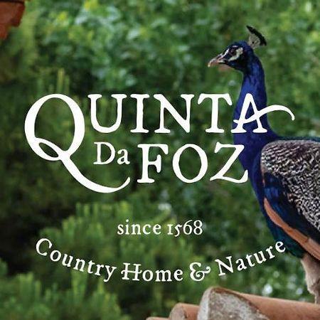 Quinta Da Foz Villa Foz do Arelho Bagian luar foto