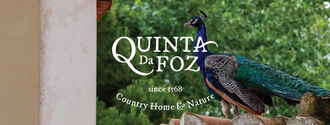 Quinta Da Foz Villa Foz do Arelho Bagian luar foto