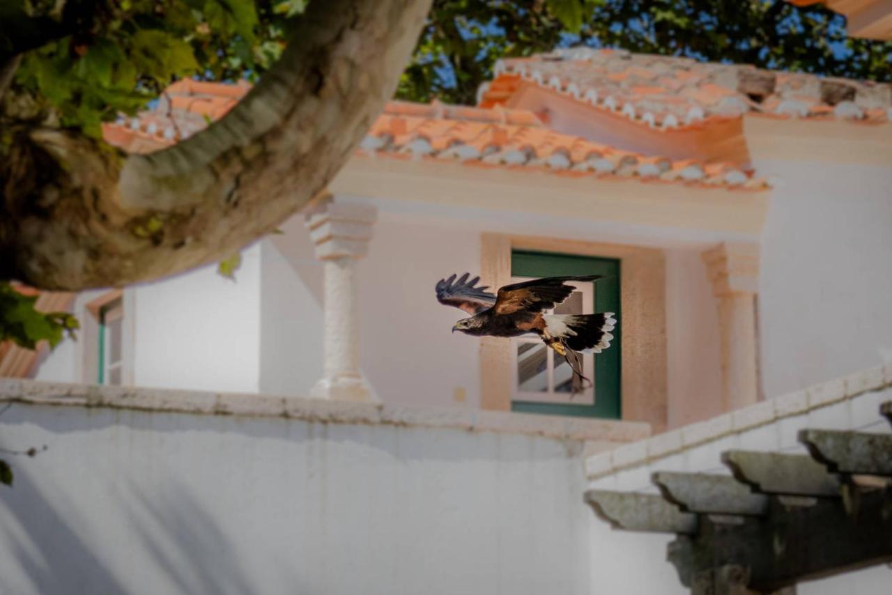 Quinta Da Foz Villa Foz do Arelho Bagian luar foto